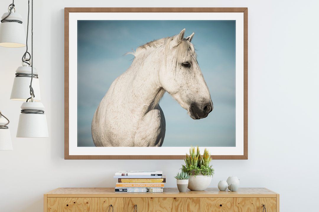 Prints that capture the beauty and power of the equine form