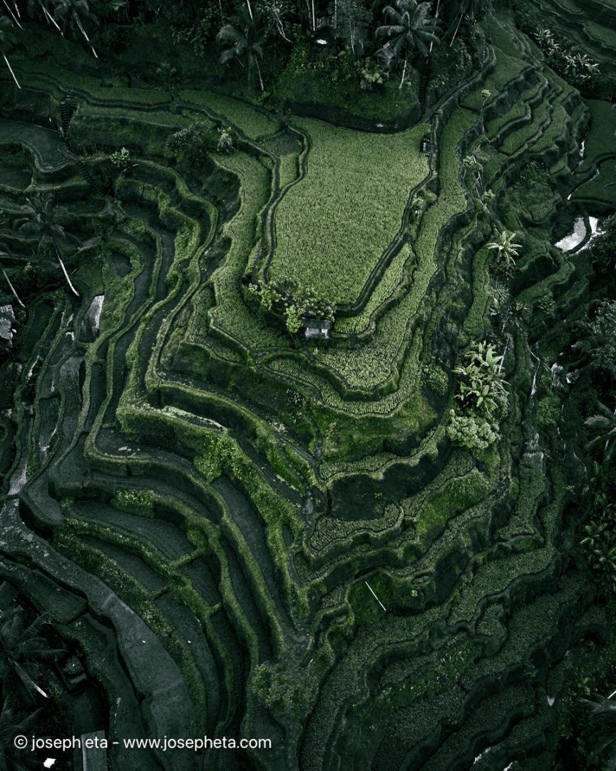 Aerial view of deep green rice terraces. Dark