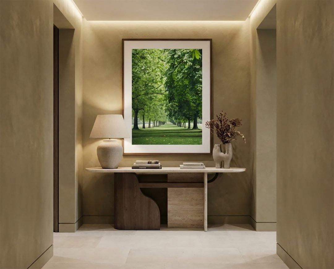 Linear perspective photography of a tree-lined avenue.