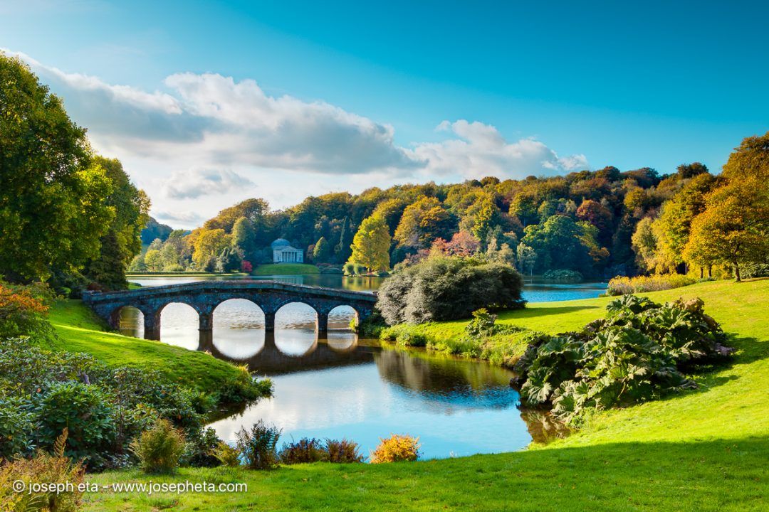 Evolutionary biology shows that humans subconsciously associate calm water with safety and sustenance, making lakeside photography highly effective for patient recovery rooms.