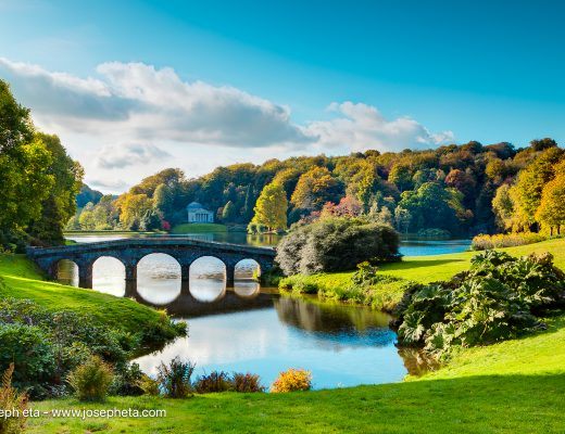 Evolutionary biology shows that humans subconsciously associate calm water with safety and sustenance, making lakeside photography highly effective for patient recovery rooms.