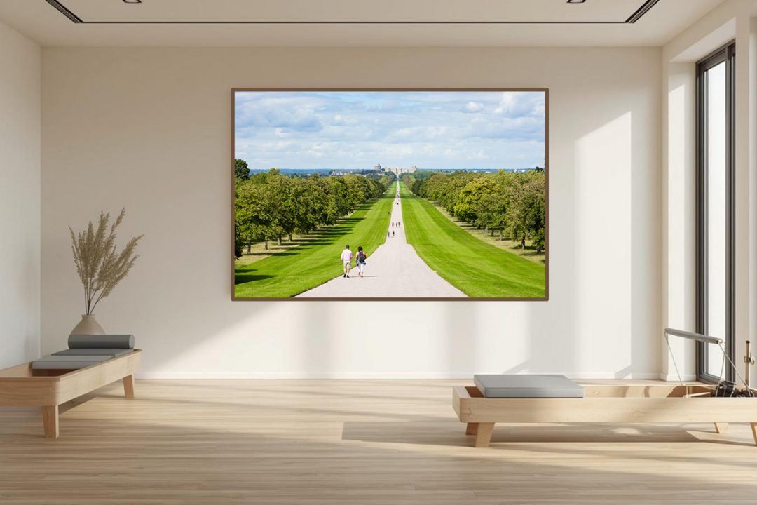Mockup of biophilic fine art photography featuring a long, tree-lined avenue leading to a distant landmark, installed in a contemporary, softly lit patient recovery room.ceiling windows.