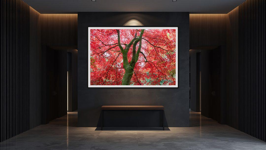 Forward momentum. Framed at the end of a dark, slatted corridor, the piece acts as a kinetic focal point above a minimalist console, transforming a purely transitional corporate space into a moment of visual silence and reflection.